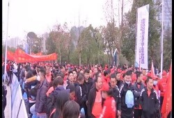 武宁新闻爆料事件,真相与舆论的交织