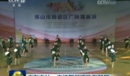 佛山大学爆料新闻视频,揭秘校园热点事件背后的真相