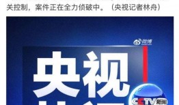 网安爆料行凶案件最新,最新行凶案件细节曝光，疑点重重引关注